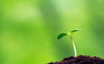 Sự chấp trước là nguyên nhân của khổ đau